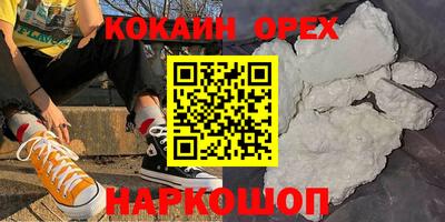 гашик Кинель