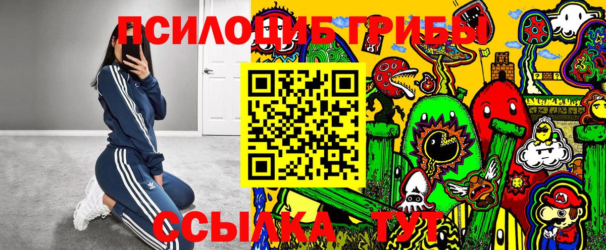 Коряжма  Псилоцибиновые грибы Psilocybe  Вход с VPN 
